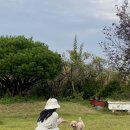 제부포레스트