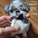 삼부프라자 | 노원 중계동 아담만두 ｜ 팥앙금 가득한 쫀득우유찐빵 포장 후기