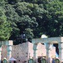 위드메드 이미지