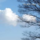 마음의 산책3 이미지