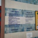 진접체육문화센터 수영장 이미지