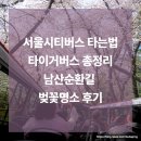 2025년 의정부 시티투어 | 서울시티투어버스 타는법 총정리 + 남산 벚꽃 코스 후기 (예약·요금·노선 한눈에)