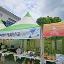 울산 북구 쇠부리축제 즐기고 왔어요