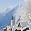 해피데이 이미지