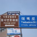 낙동강 발원지 - 태백 황지(황지천) , 영주 순흥 소백산(죽계구곡) , 문경 초점(조령천) 이미지