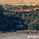 [사설]北 “대남 영구 단절 요새화”… 긴장 고조 노린 도발 대비해야 이미지