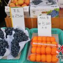 훈이네청과과일
