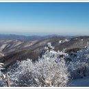 삼도메디칼 Daum카페