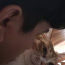 헤즈업 당구장 이미지