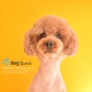 바비 애견샵 이미지