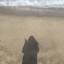 (220406) 강릉 여행 네번째 날.사근진해변, 순긋해변, 포시즌라운지, 사천해수욕장,사천진바위섬, 곳...