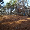 원주굽이길 11코스 혁신도시둘레길 이미지