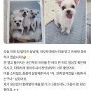 하오하개 이미지