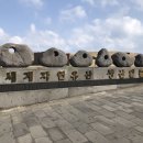 신전떡볶이화산점 | 제주 DAY 3 ; 성산일출봉, 프릳츠, 유채꽃 …