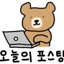 양지셀프 이미지
