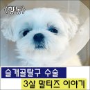 삼송사랑 동물의료센터 이미지