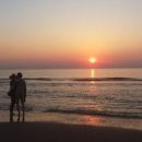 초원의 빛 이미지