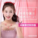 서울미의원 이미지