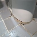 청도훼미리코아 | [파주 문산 청도훼미리코아 변기누수의 원인]변기탈거를 위해 세면대까지 탈거하게된 상황?
