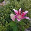 큰어리골 쉼터 이미지