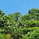 임실중앙요양병원 이미지