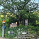 산록1 | 대구 앞산케이블카 뚜벅이 도보 방문후기, 가격·운행시간·앞산전망대 일몰 후기