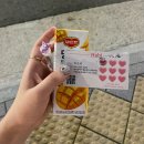 화목데파트 상가 앞 | 해운대 장산역 속눈썹펌 하비뷰티 해운대 속눈썹 듀얼펌 후기