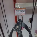 펫클럽 연희점 이미지