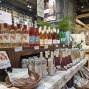 스파렉스 공릉 이미지