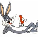 당근(carrot) 이미지