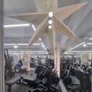 진131-5 | 신설동PT 5군데 상담 끝에 선택한 피트니스 131 솔직 후기