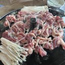 감골오리 이미지