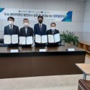 엘엠엘