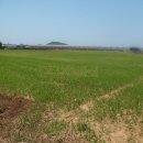 보성리사무소 이미지