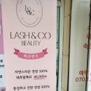 유정앤코 이미지