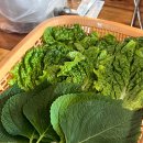 운정가든 | 퍼스트가든고기집 파주 운정 근처 설문동본갈비 재방문 후기