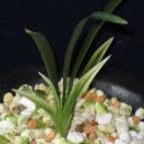 올젠테크놀로지 이미지