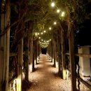 송현공원로 이미지