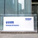 187 이미지
