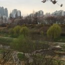 대영가스충전소 이미지