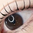 GRIDA(그리다) 이미지