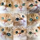 라운드브리(roundbri) 이미지