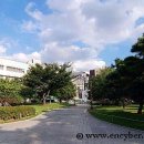 경상감영공원 이미지