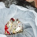 가정약국 이미지