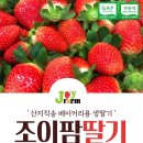 조이팜