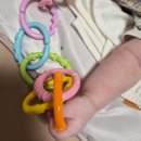 무진체육관 | 3개월 아기 장난감 100일 아기 발달 장난감 국민템 베스트 총정리