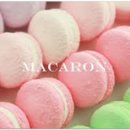 터치바디 이미지