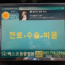 수영환경공원 농구장