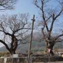 대강면 평촌마을 이미지