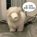 🩵라섹 했쪄염👀🩵